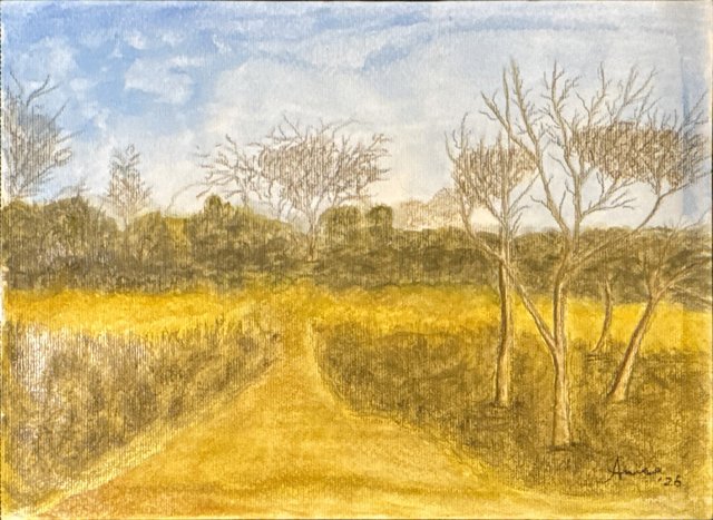 A pale path leads through a golden field towards bare winter trees beneath a blue sky.