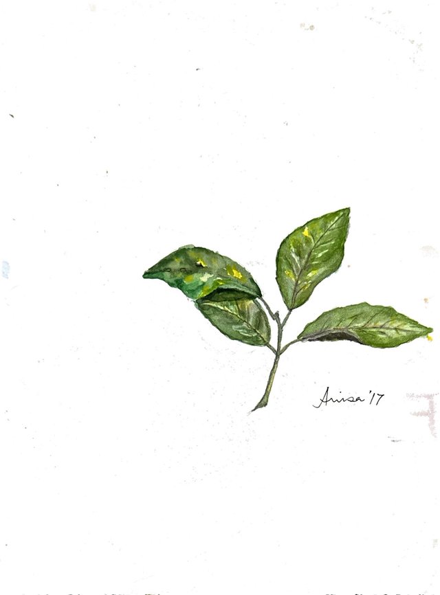 A small sprig of green leaves occupies the centre of an otherwise open sheet.