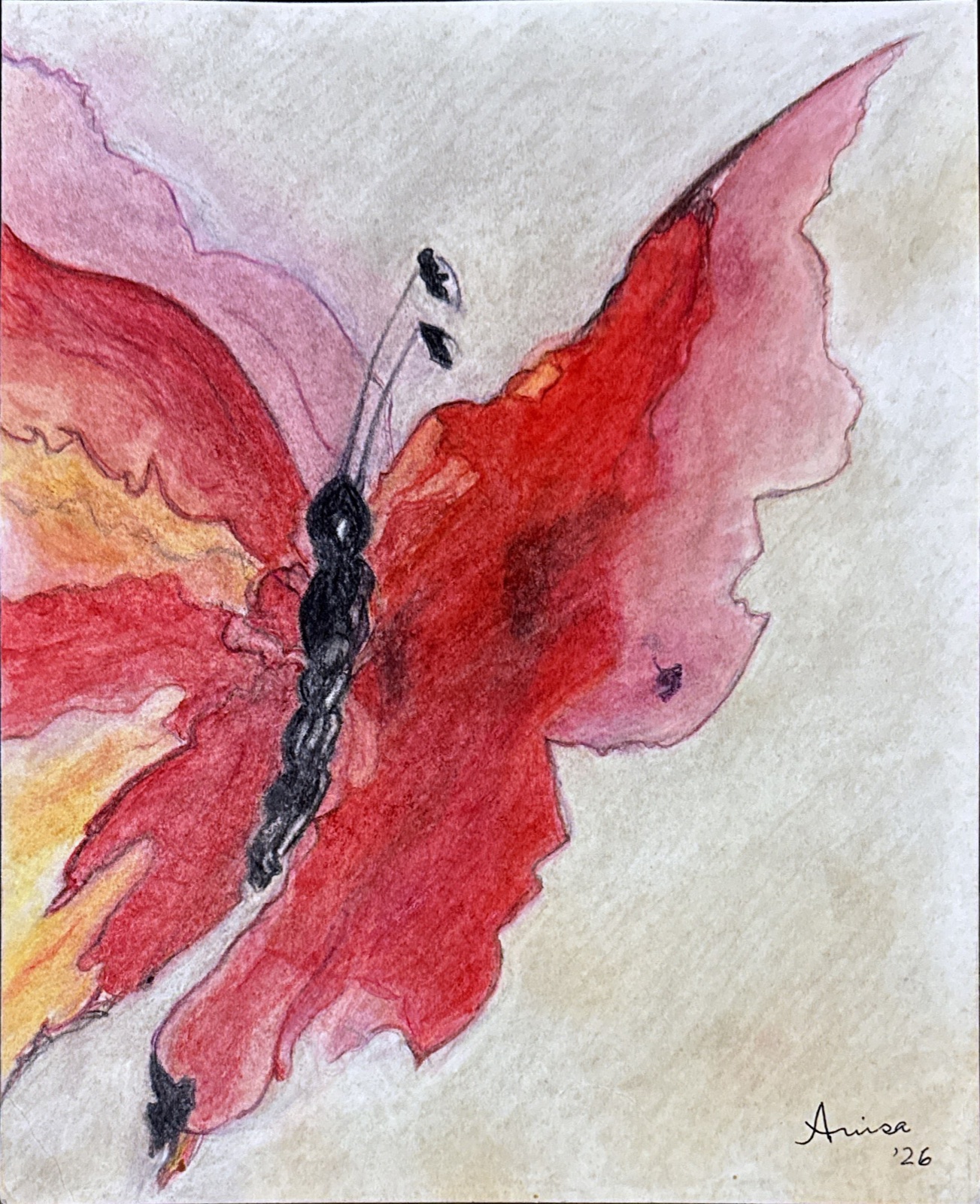 A butterfly opens broad, rippling wings in red, coral and pink against a pale ground.